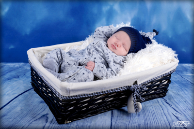 photographe nouveau né
