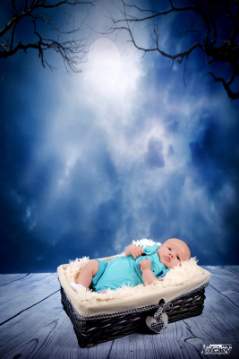 photographe nouveau né