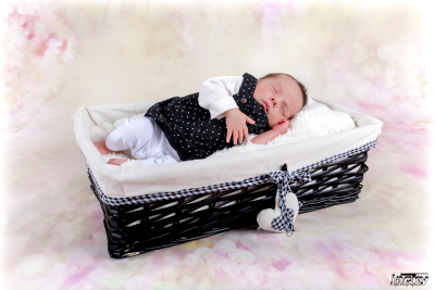 photographe nouveau né
