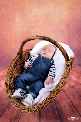 photographe nouveau né