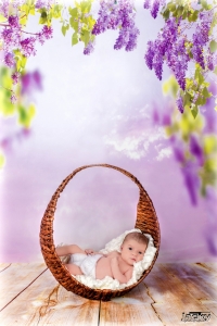 003 (2)photographe nouveau né