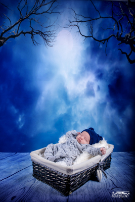 photographe nouveau né