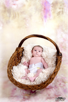 photographe nouveau né