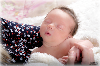 photographe nouveau né