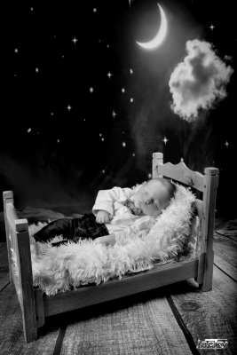 photographe nouveau né