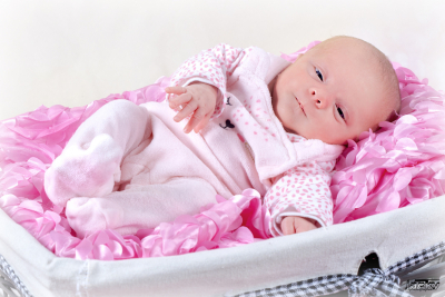 photographe nouveau né