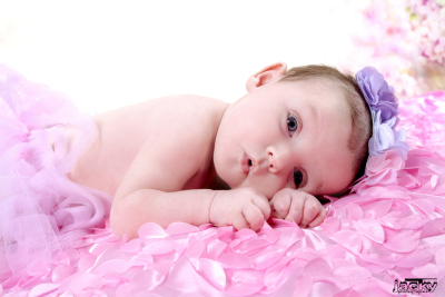 photographe nouveau né