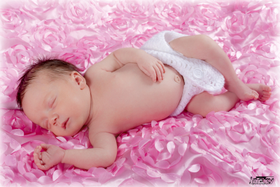 photographe nouveau né