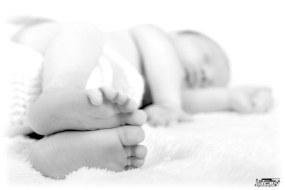 photographe nouveau né