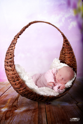 photographe nouveau né