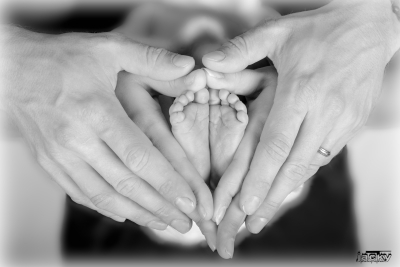 photographe nouveau né