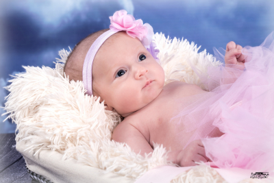 photographe nouveau né