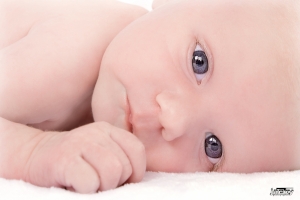 photographe nouveau né