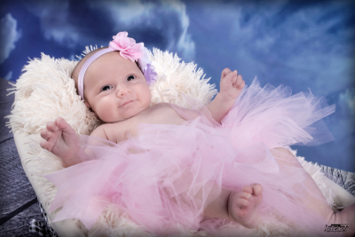 photographe nouveau né