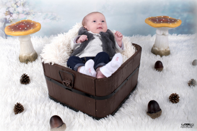 photographe nouveau né