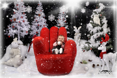 photographe noel 