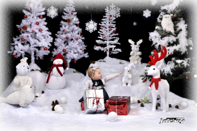 photographe noel 