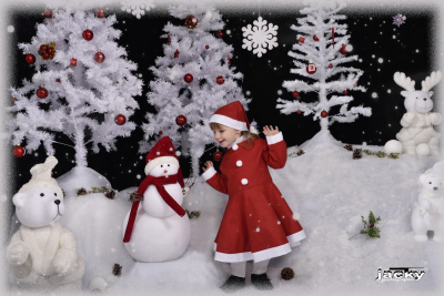 photographe noel 