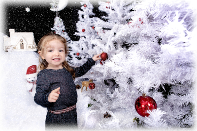 photographe noel 