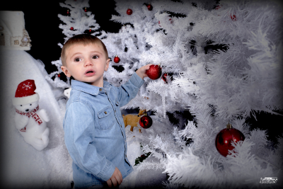 photographe noel 