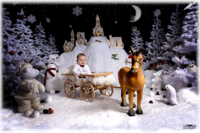 photographe noel 