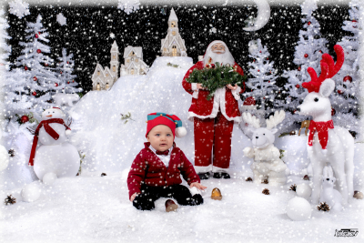 photographe noel 