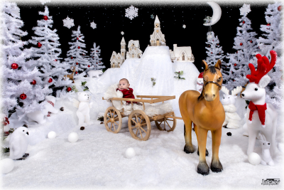photographe noel 