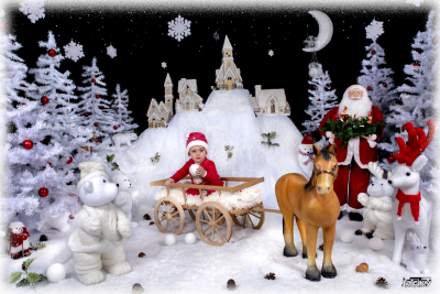 photographe noel 