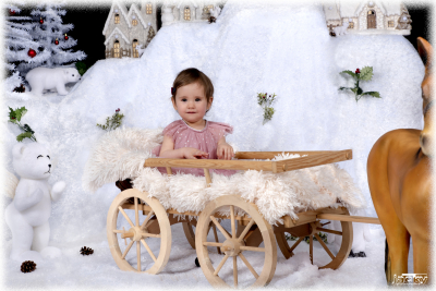 photographe noel 