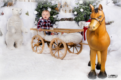photographe noel 
