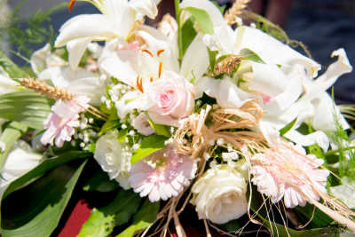 photographe pas de calais