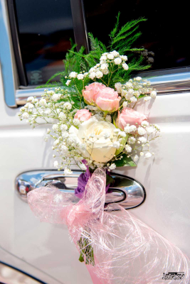 photographe henin beaumont