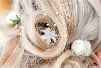 PHOTOGRAPHE PAS DE CALAIS