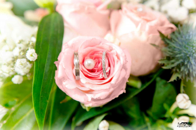 photographe hauts de france