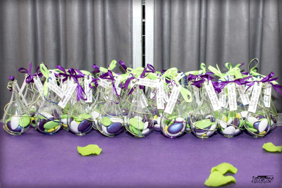 photographe mariage hauts de france