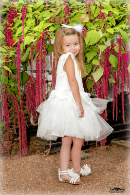 photographe professionnel