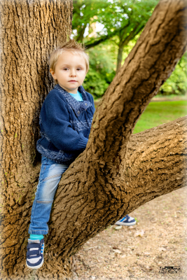 photographe professionnel