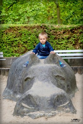 photographe professionnel